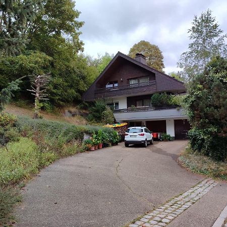 Ferienwohnung Feldbergsicht Lenzkirch Exterior foto