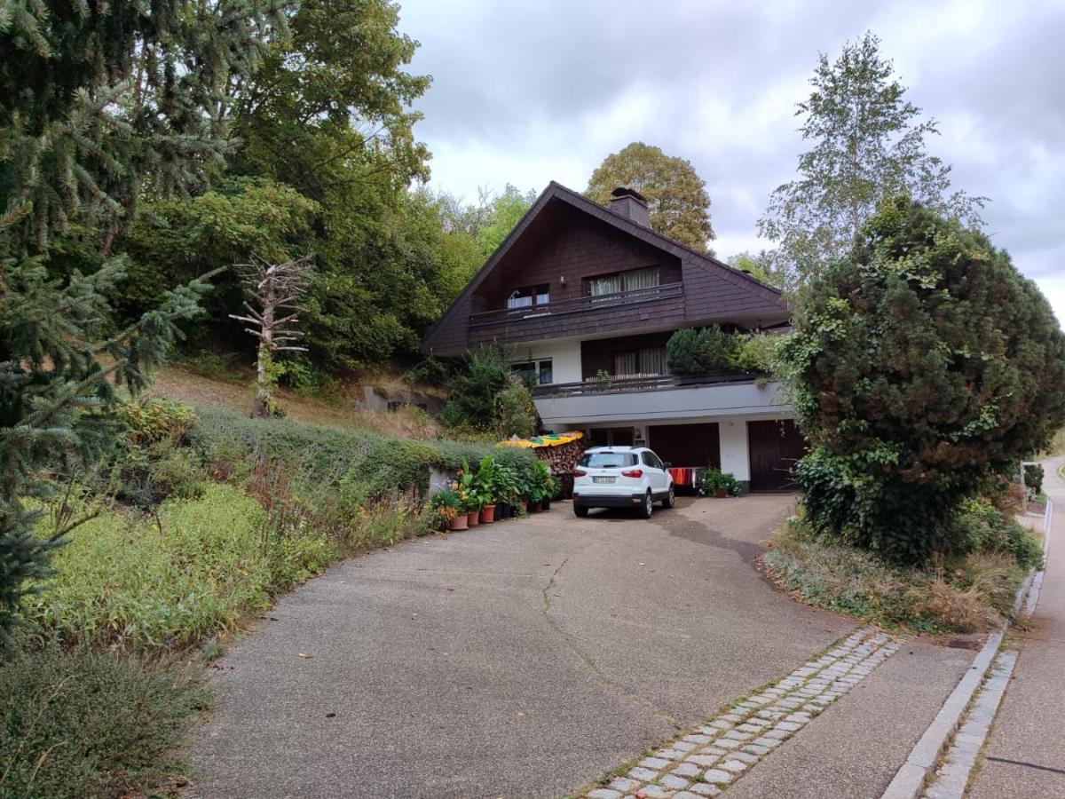 Ferienwohnung Feldbergsicht Lenzkirch Exterior foto